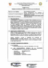 Vista preliminar de documento TDR Nº 1833