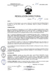 Vista preliminar de documento R.D. Nº 246-2025