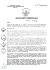 Vista preliminar de documento R.D. Nº 247-2025
