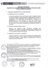 Vista preliminar de documento REQUERIMIENTO (1)