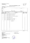 Vista preliminar de documento tdr