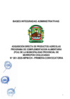 Vista preliminar de documento BASES INTEGRADAS PCA 2025 
