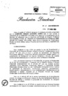 Vista preliminar de documento RD_255_2004_MEM_AAM