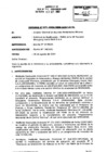 Vista preliminar de documento RD_423_2004_MEM_AAM