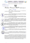 Vista preliminar de documento Resolución Directoral. N° 1271 - 2025 