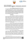 Vista preliminar de documento RGR N° 040 2025 GRLL GGR GRCTPIP