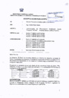 Vista preliminar de documento RD_480_2004_MEM_AAM