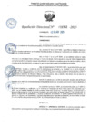 Vista preliminar de documento RD 1562-2025 NX