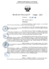 Vista preliminar de documento RD 1602-2025 NX