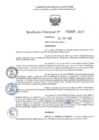 Vista preliminar de documento RD 1609-2025 NX
