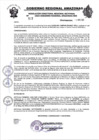 Vista preliminar de documento RESOLUCION N°523