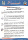 Vista preliminar de documento RIT - Municipalidad Distrital de Pomacanchi