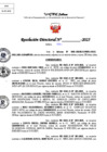 Vista preliminar de documento Resolucion Directoral N° 003263-2025