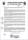 Vista preliminar de documento RESOLUCION N°535