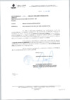 Vista preliminar de documento oficio multiple 315