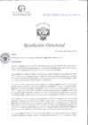 Vista preliminar de documento RD N°165-05-2025-DE-HCLLH-MINSA