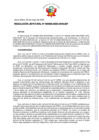 Vista preliminar de documento RESOLUCION JEFATURAL-000063-2025-ANIN-JEF