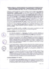 Vista preliminar de documento ANEXO 0953-2025-IN