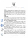 Vista preliminar de documento ra31
