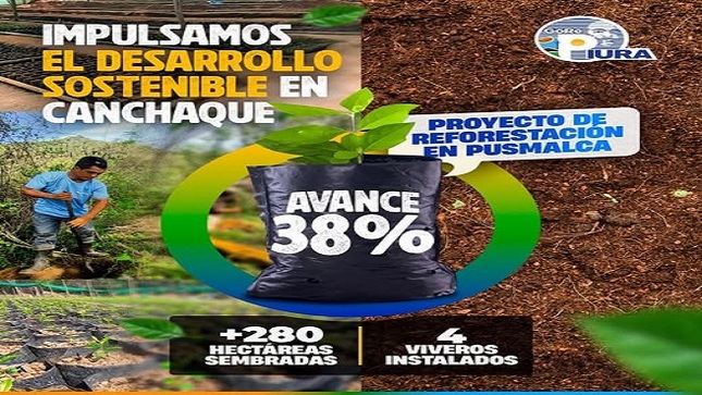 Desde la Dirección Regional de Trabajo celebramos las más de 280 hectáreas reforestadas y la instalación de 4 viveros en nuestra región