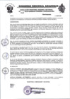 Vista preliminar de documento RESOLUCION N°542