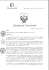 Vista preliminar de documento RD N°171-05-2025-DE-HCLLH-MIN SA