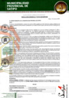 Vista preliminar de documento RESOLUCION GERENCIAL N° 000135-2025-GM-MPS