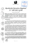 Vista preliminar de documento RER 309-2025-GOB