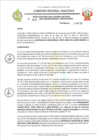 Vista preliminar de documento RESOLUCION N°604