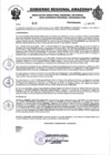 Vista preliminar de documento RESOLUCION N°600