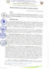 Vista preliminar de documento R.A N° 135-2025