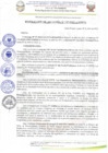 Vista preliminar de documento R.A N° 137-2025 (2)