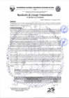 Vista preliminar de documento RESOLUCION  Nº260-2025-CU-UNAMAD