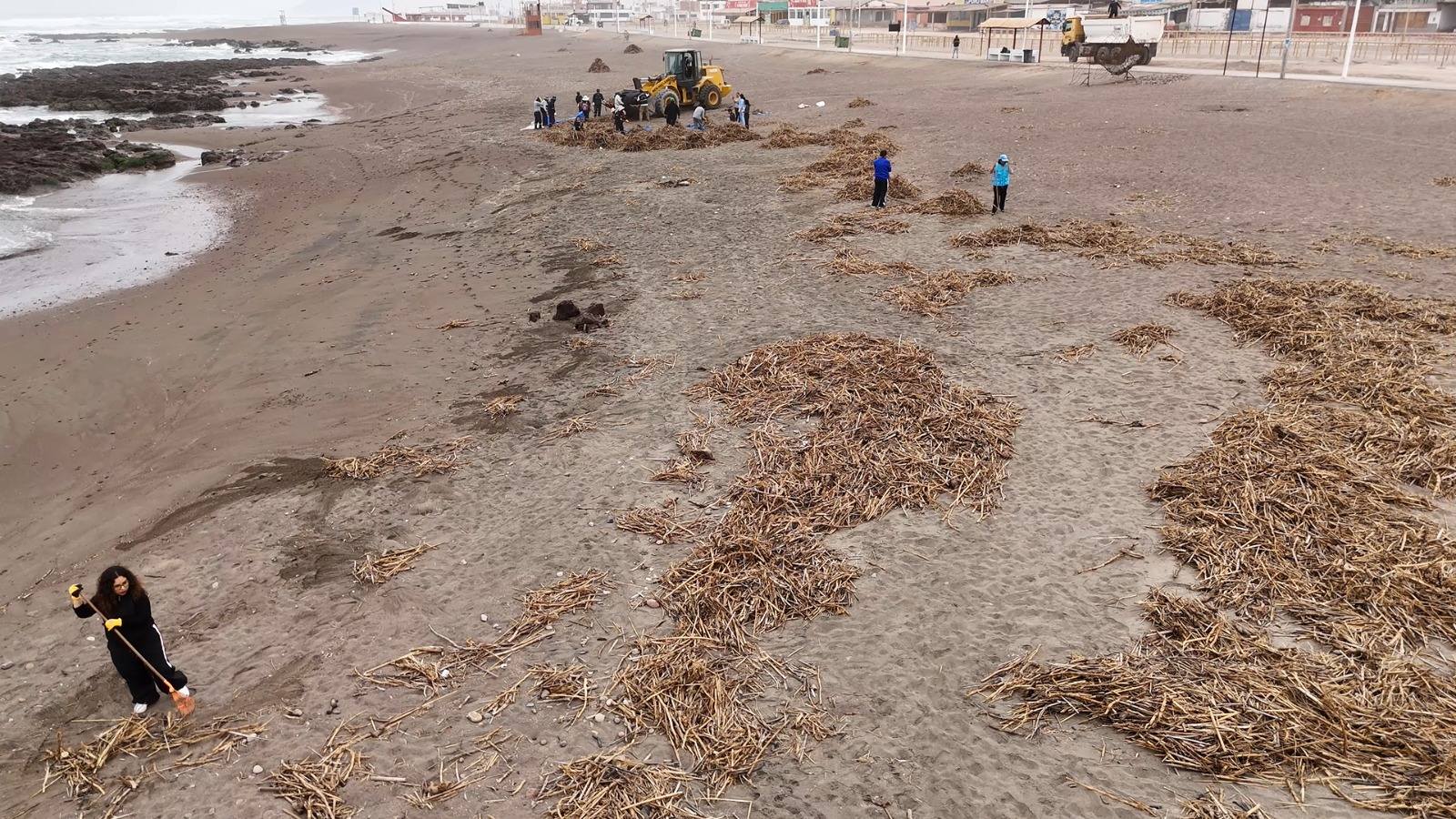 imagen limpieza de playa