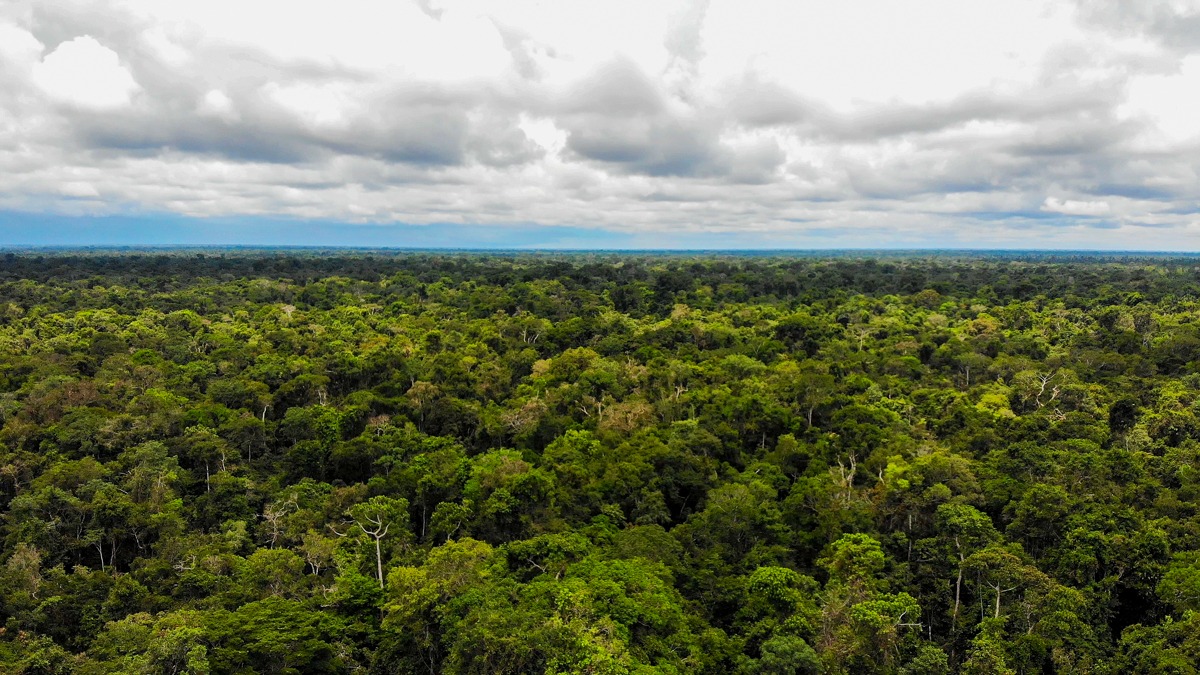 Archivo JPGE del Día de la Biodiversidad: El OSINFOR y los usuarios del bosque, unidos por su protección