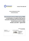 Vista preliminar de documento Informe Técnico 339-2025-GRT