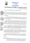 Vista preliminar de documento RA208-2025