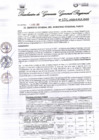 Vista preliminar de documento Resolución Gerencia General N° 124-2025