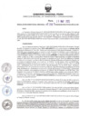 Vista preliminar de documento RDR N°387-2025-28-05-2025