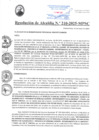 Vista preliminar de documento RA210-2025