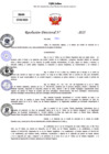 Vista preliminar de documento Resolucion Directoral N° 003278-2025