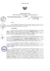 Vista preliminar de documento RDR N°391-2025-29-05-2025