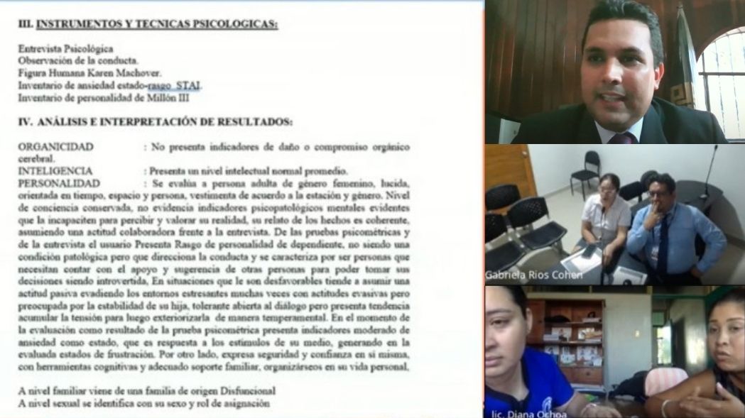 Corte de Ucayali capacita a psicólogos sobre criterios legales y técnicos para informes en casos de violencia