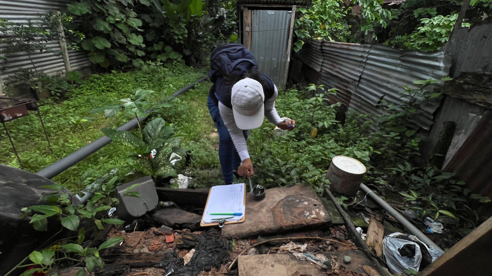 Concluye con éxito control larvario para prevenir el dengue en 38 sectores de Iquitos