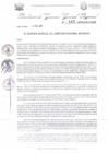 Vista preliminar de documento Resolución Gerencia General N° 113-2025