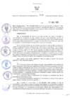 Vista preliminar de documento ORA.229