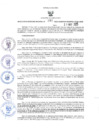 Vista preliminar de documento GRDS.197