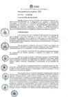 Vista preliminar de documento RES-2025-207-ALC/MSI	