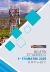 Vista preliminar de documento Boletín Estadístico - I Trimestre 2025