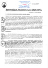Vista preliminar de documento RA213-2025